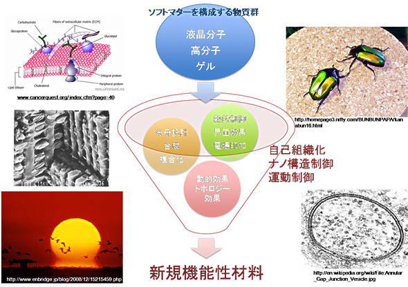 ���R�Ɋw�ԍޗ��J��