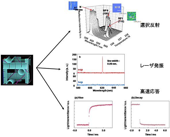 �u���[���������@�\