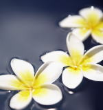 ○○○○○○○○イメージ