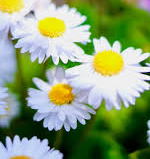 ○○○○○○○○イメージ